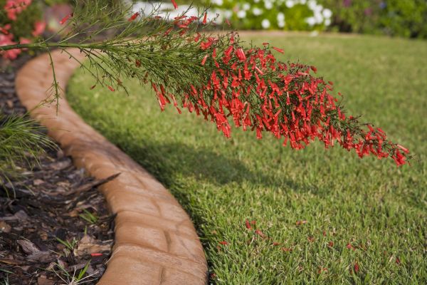 Brick Edging in Delaware
