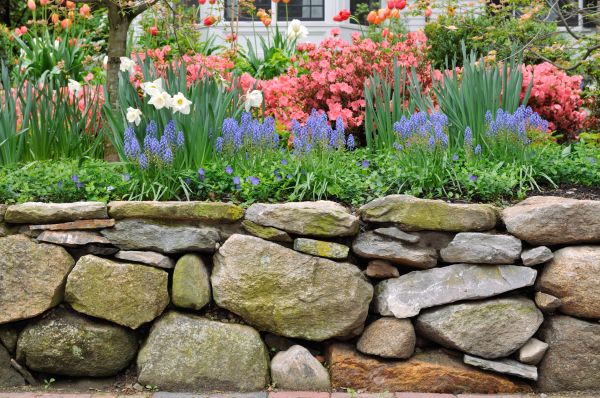 Stone Wall Hardscaping in Delaware