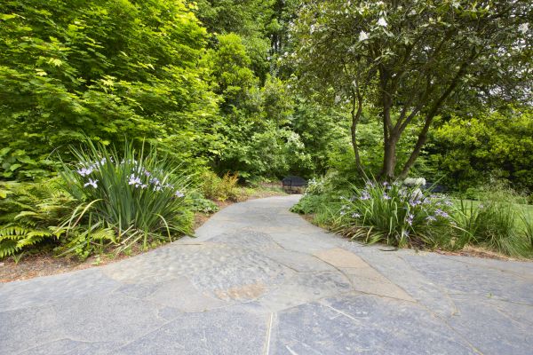 Stone Hardscape Service in Delaware